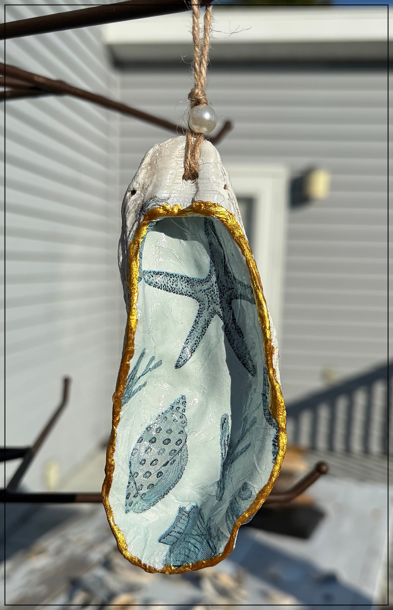 Oyster Shell Ornaments Large Hand Made by Zach